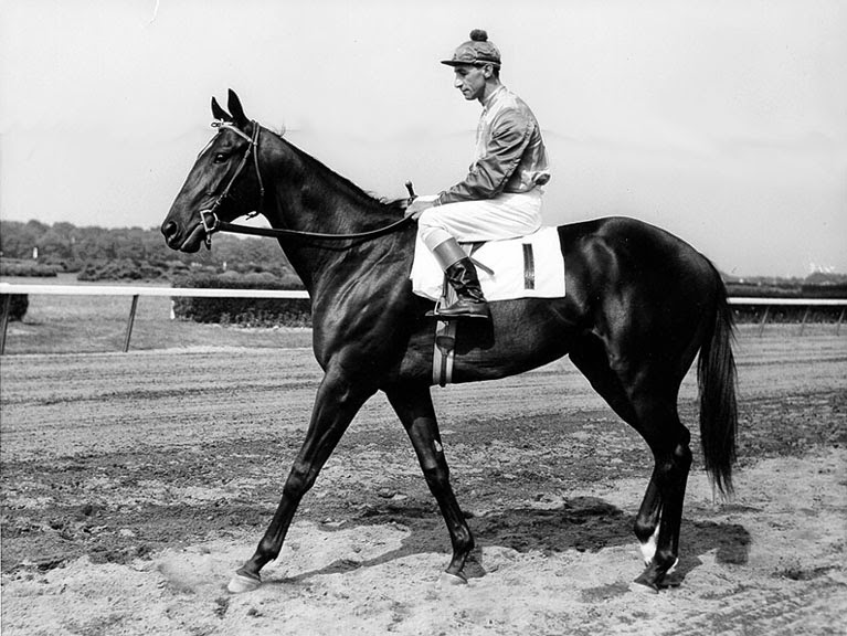 Los Pingos de Todos: Bold Ruler