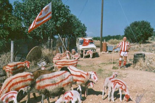 Ξεκατινιάζονται δημόσια! (pics)