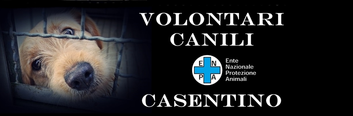Volontari Canili Casentino
