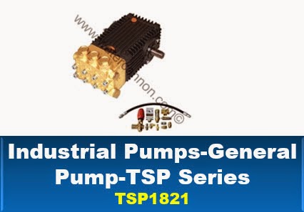 General Pumps TSP1821