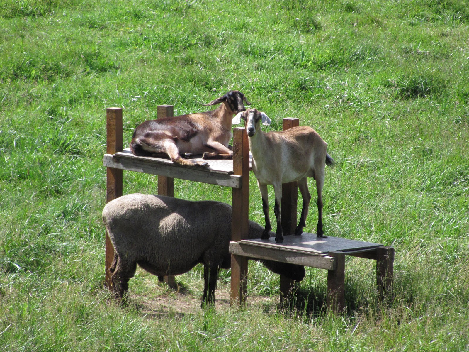 Edge of the Hills June 2012