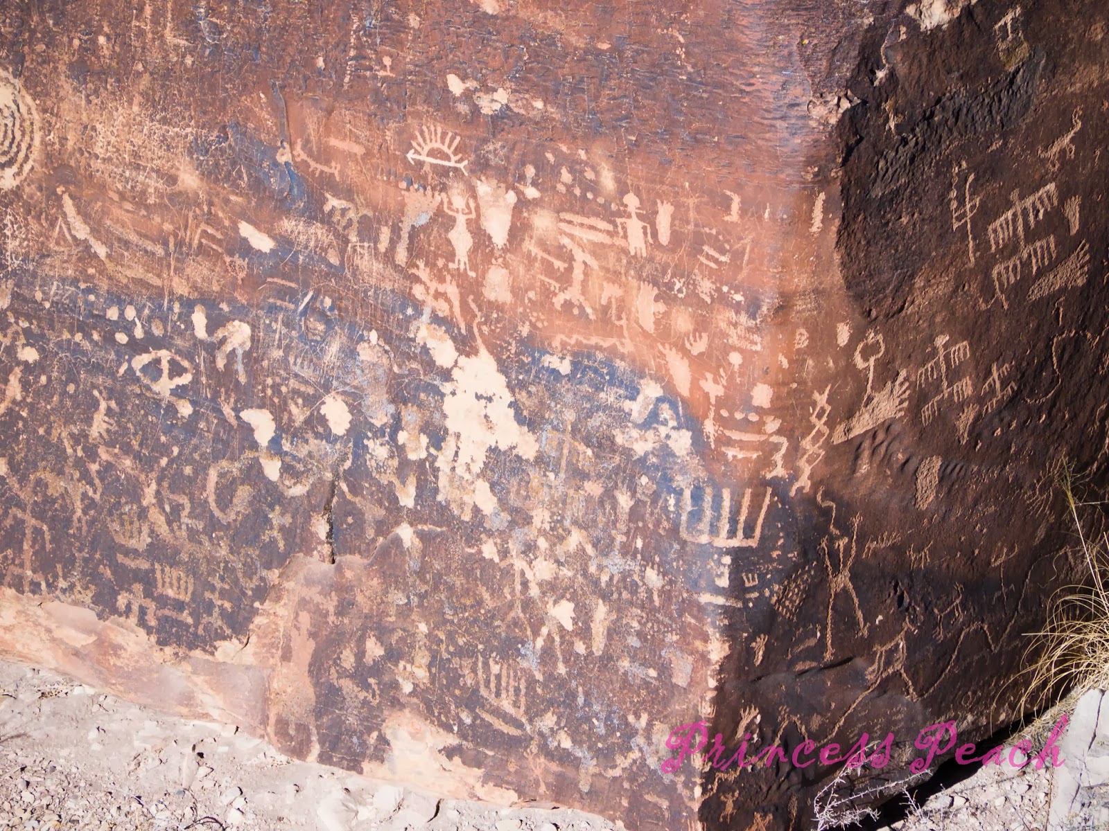 Petrified-Forest-National-Park-石化森林國家公園-Petroglyph