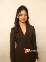 Tamanna at Oopiri Successmeet-cover-photo