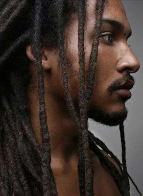 Dreadlocks with Black Hairstyle Dreadlocks with Black Hairstyle