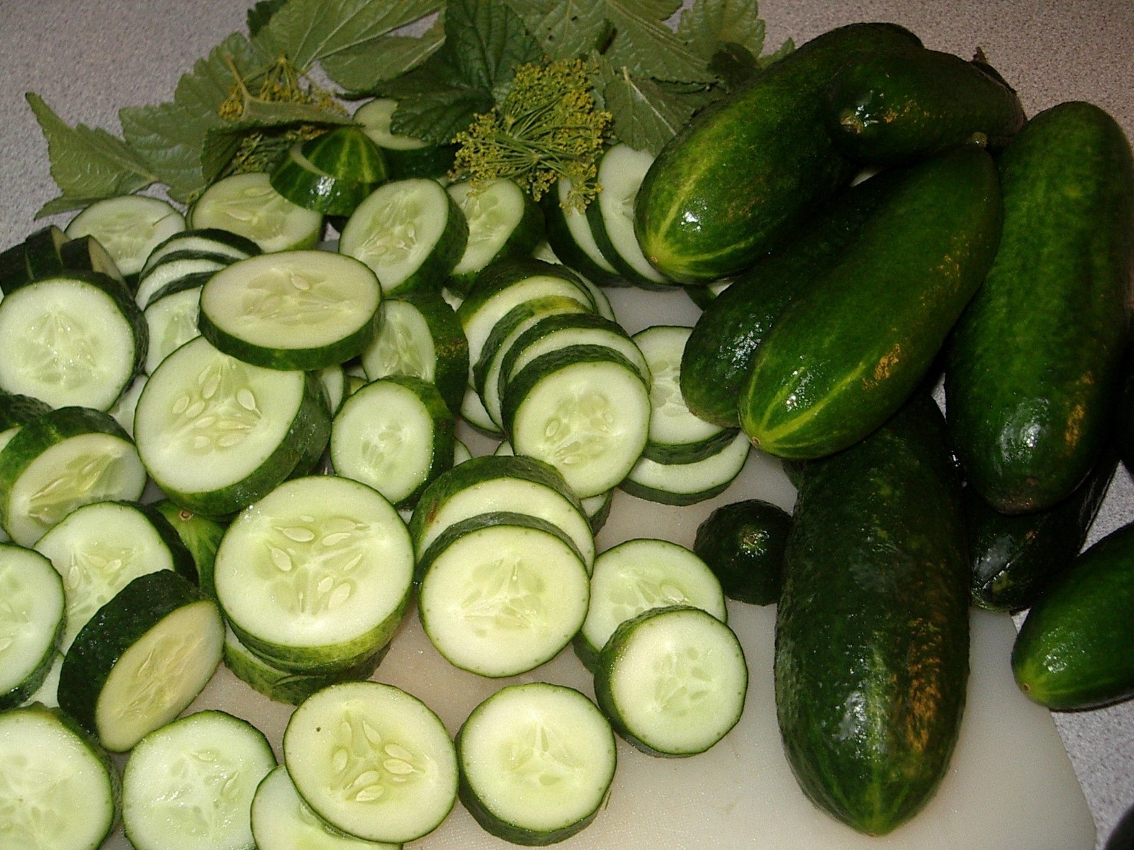 diet-tips: Cucumber: the whole truth about this special vegetable diet