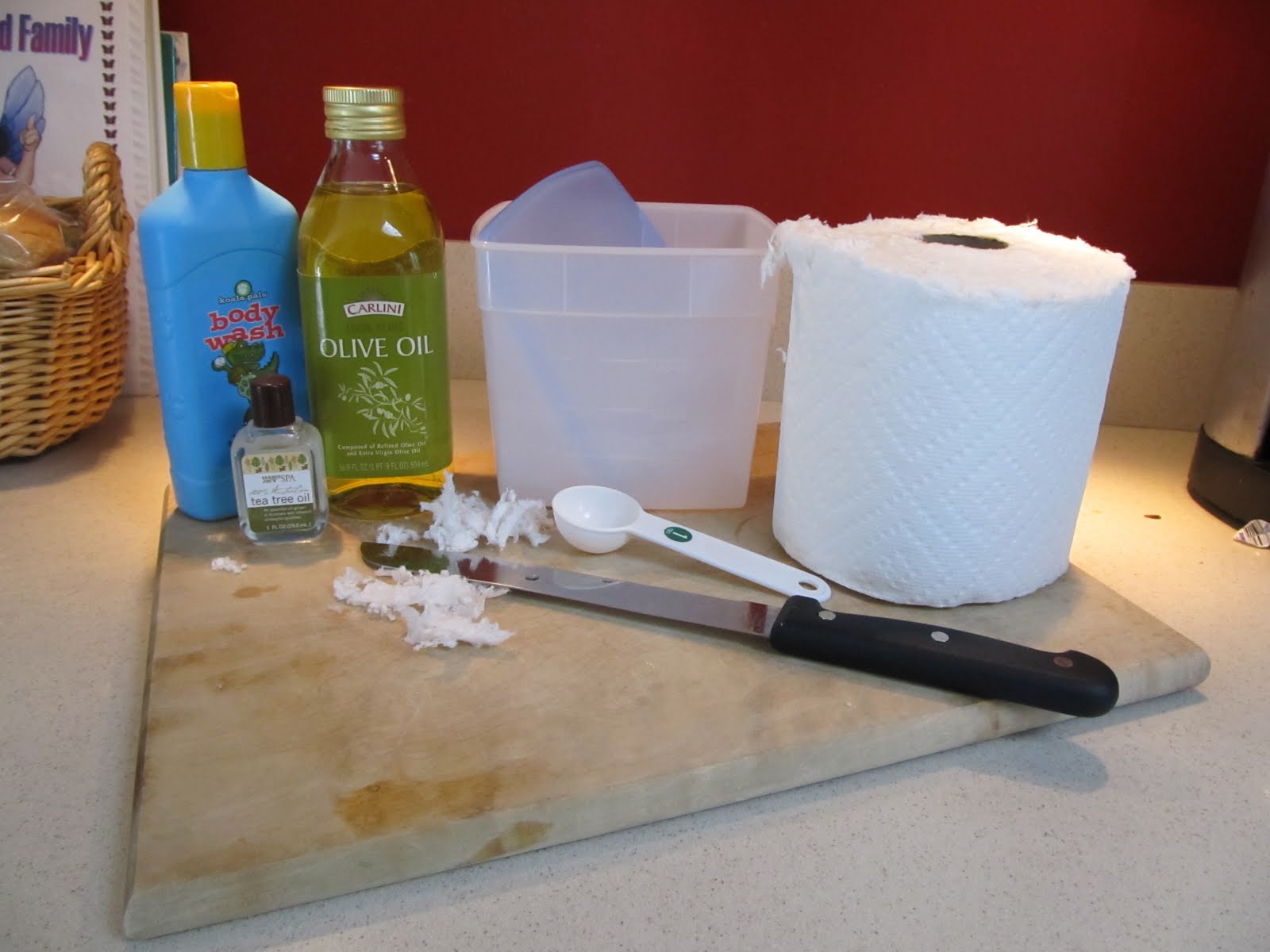 Everyday with the Stricklands Homemade Disposable Wipes