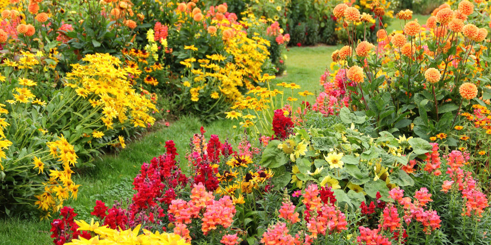 My Enchanting Cottage Garden Fall Plants For The Southwest