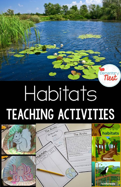 Teaching Habitats: Activities and Resources (with a FREEBIE) | Second