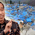 Presiden Jokowi Rencana Kunjungi GB  Bulan Ini