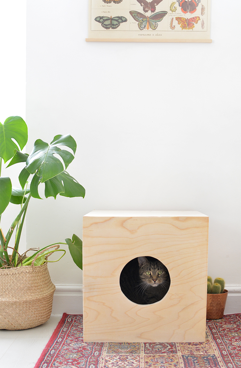 wooden cat house DIY project