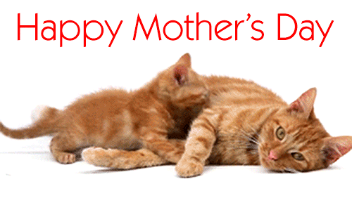 mothers-day-gif-images