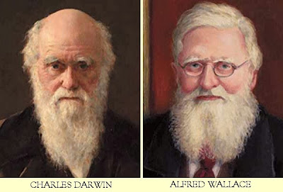 Resultado de imagen de Wallace y Darwin