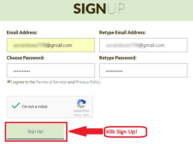 Chosen password. Пример учетной записи майкрософт. Как пройти игру the password game. Chosen password. Лог firefox.