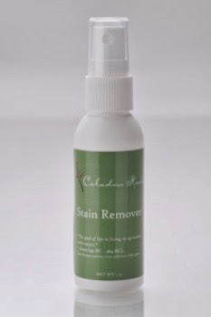 Celadon Road Stain Remover Review