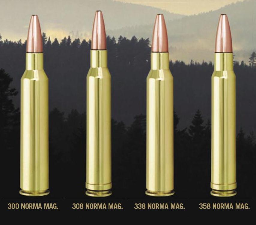 338 Win Mag Vs 300 Rum 10 Images - Montana Elk Hunting 300 Weatherby Magnum