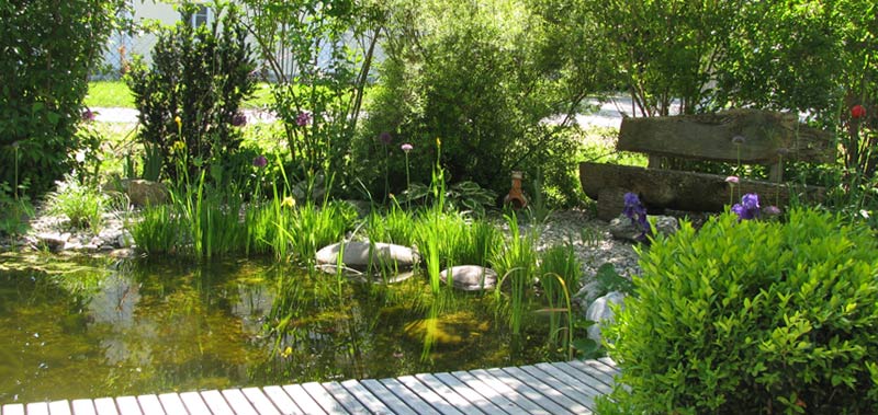 Gartenblog Geniesser Garten 05 01 2014 06 01 2014