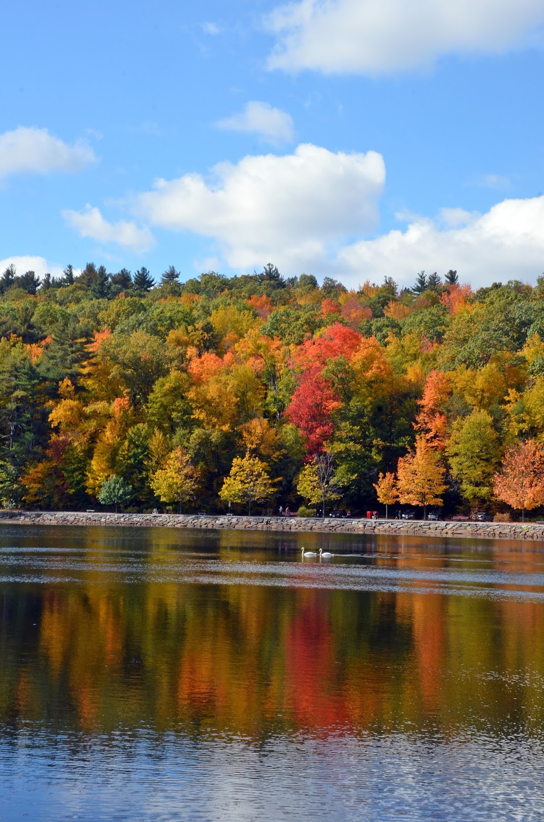 The Mailman's Son Coggshall Park, Fitchburg, MA