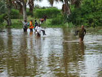 Ouganda: Les inondations font plus de 16 000 déplacés dans l'ouest Ouganda%2Binondations