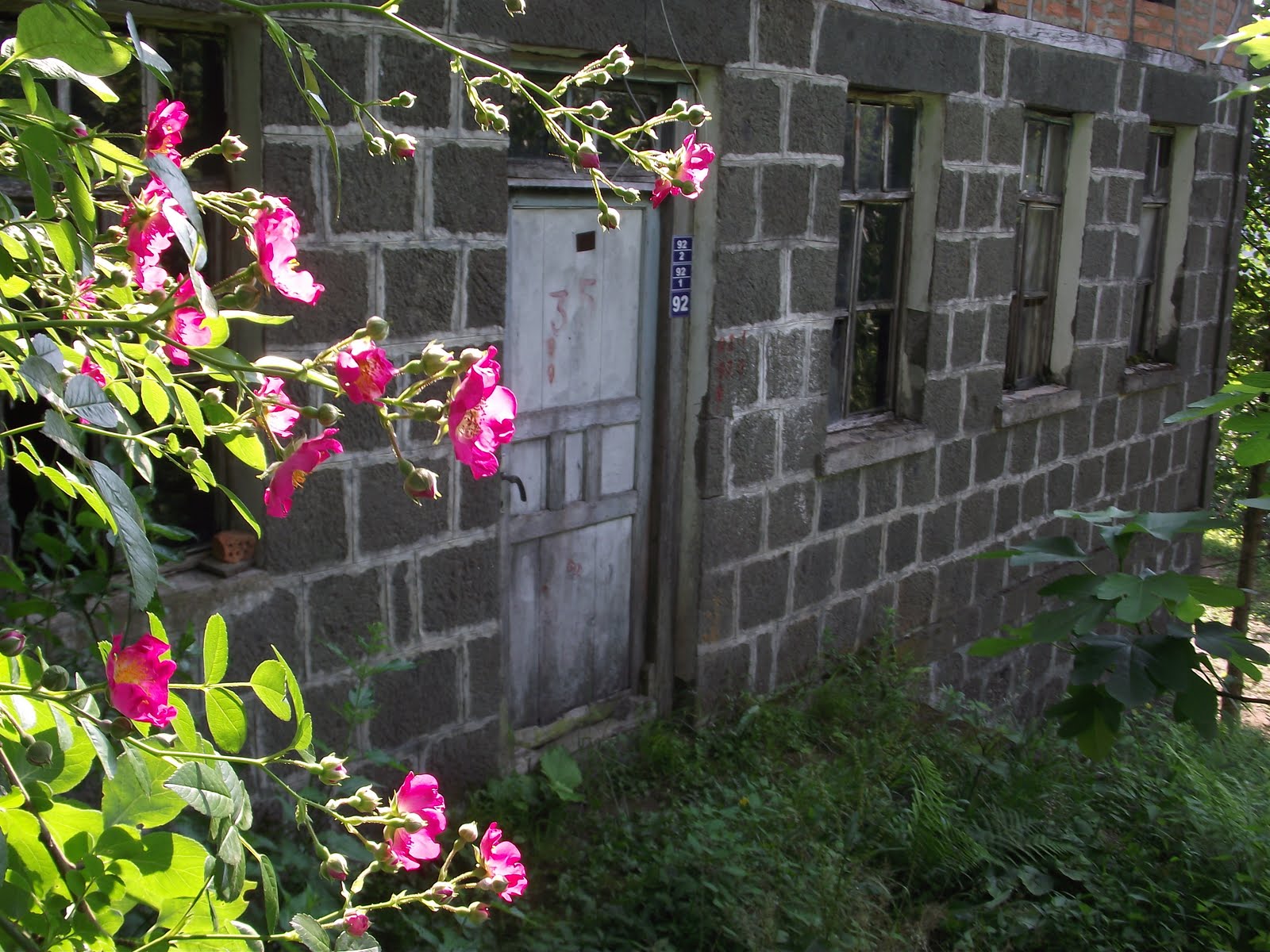 Küçük köyün büyük dünyası Eski ev