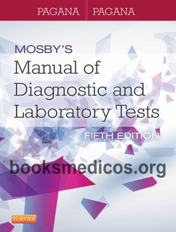 Leguizamon Inicia Los Tests En La F4 Sudamericana Recta Principal