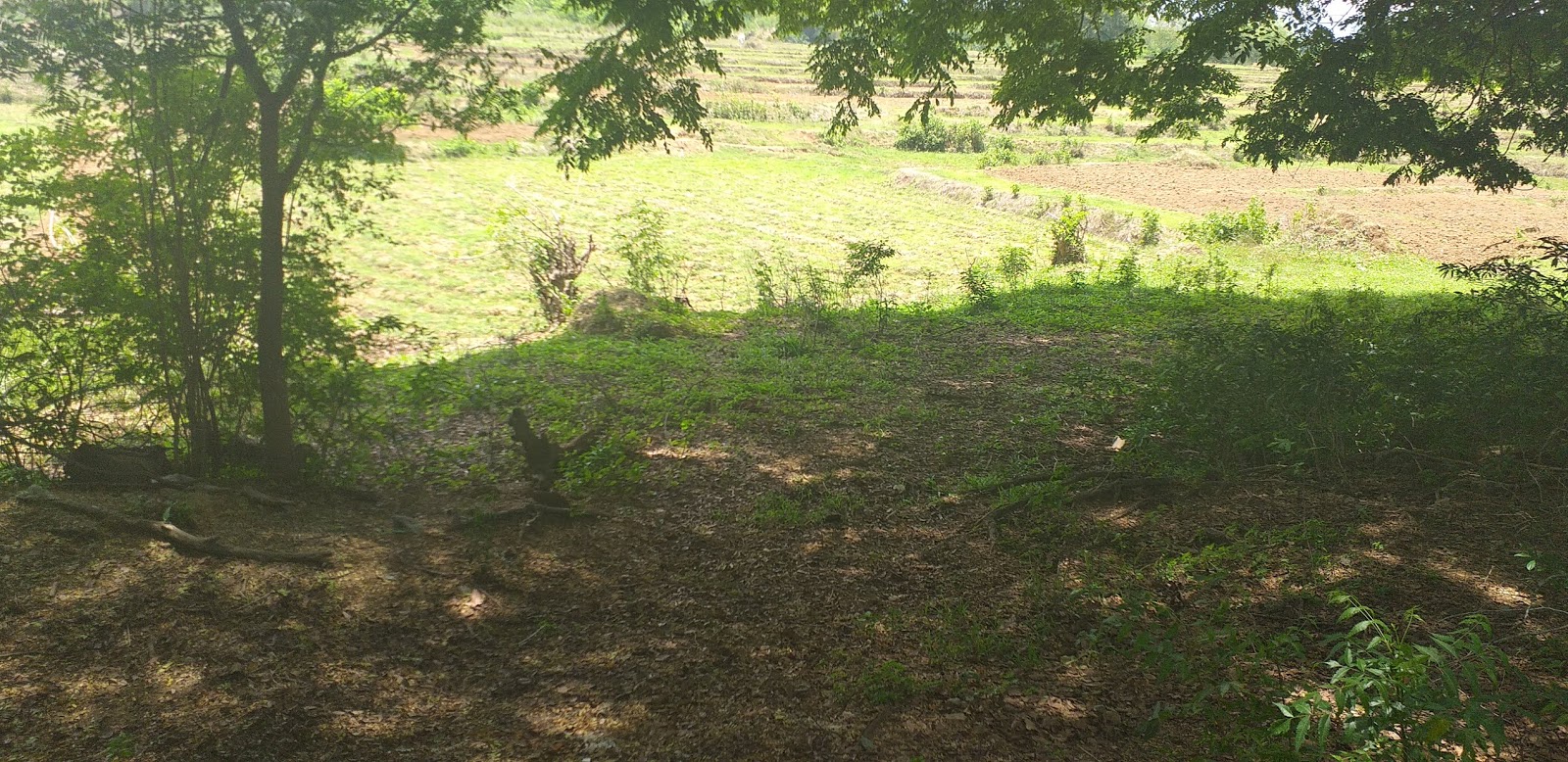 Communications Center for Holy Gardens Boundary San QuintinUmingan