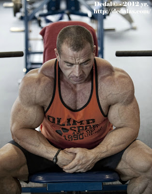 ���������� British Dragon ������������: ����.