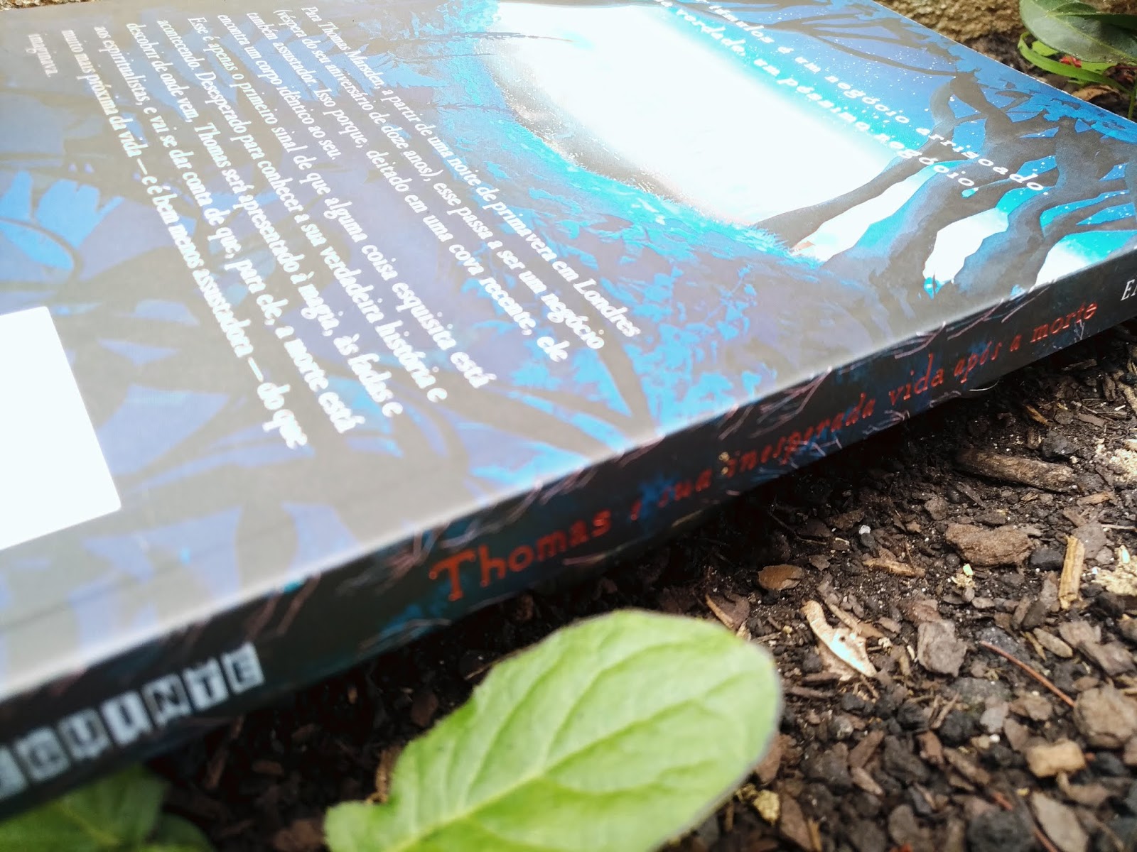 THOMAS E SUA INESPERADA VIDA APÓS A MORTE - EMMA TREVAYNE DICA DE LIVRO: THOMAS E SUA INESPERADA VIDA APÓS A MORTE - EMMA TREVAYNE