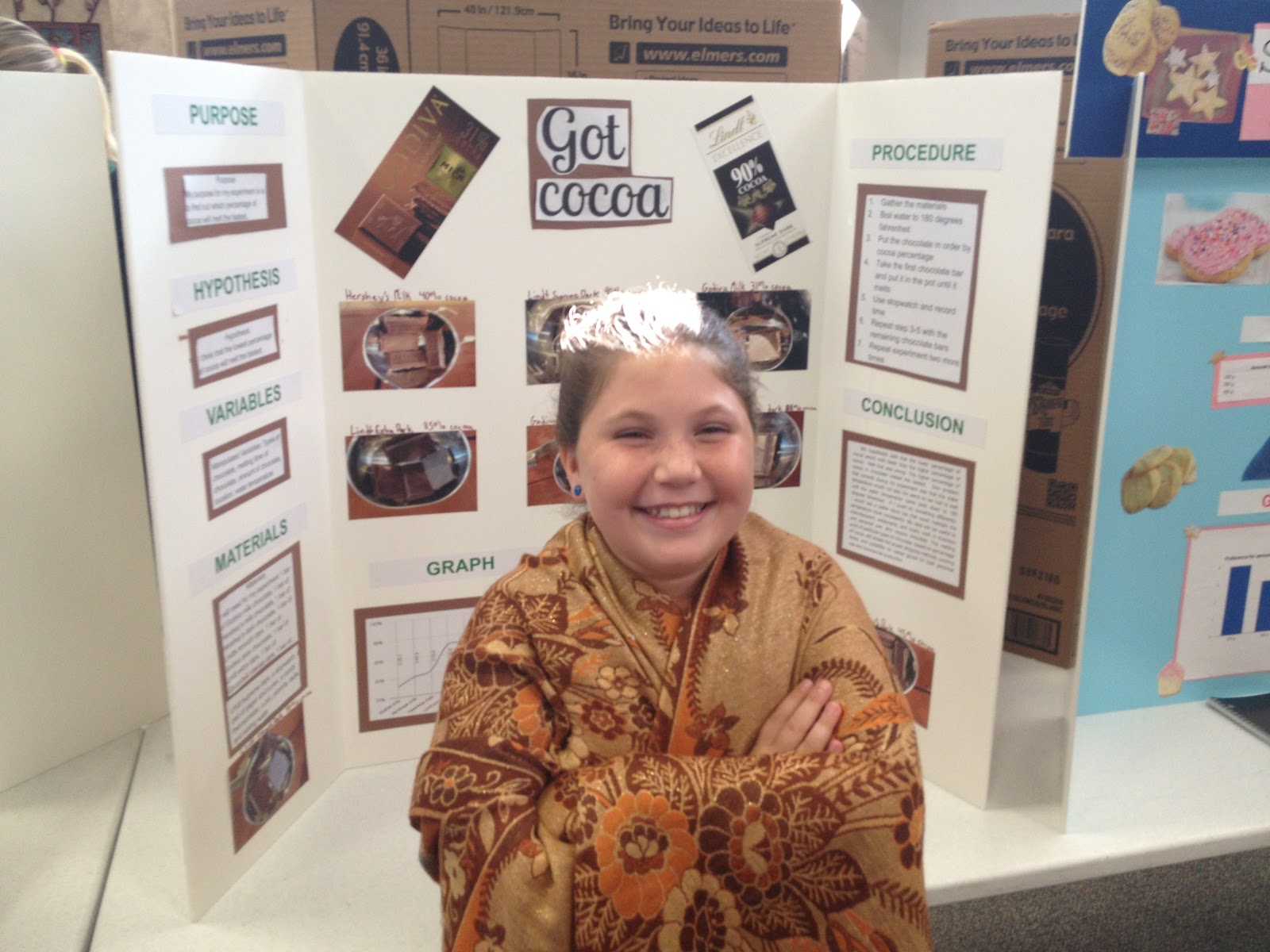 Ms. Social Studies: Science Fair Projects