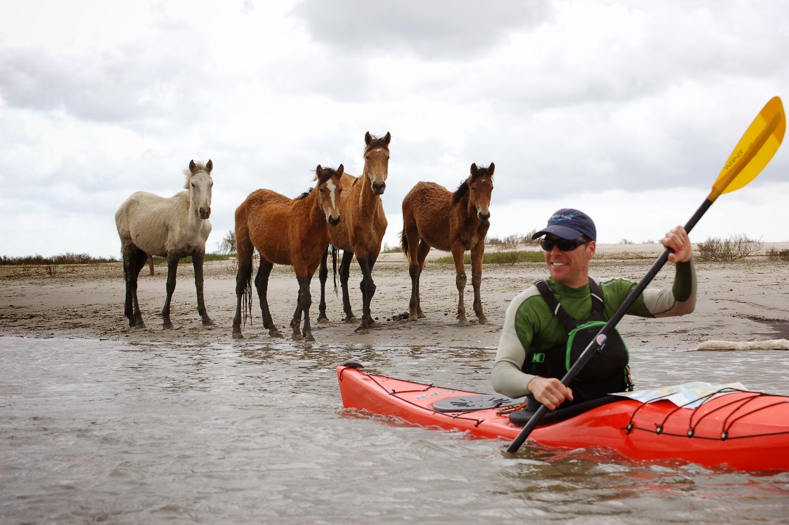 Sea Kayak Stonington Horsin' Around on Cumberland Island