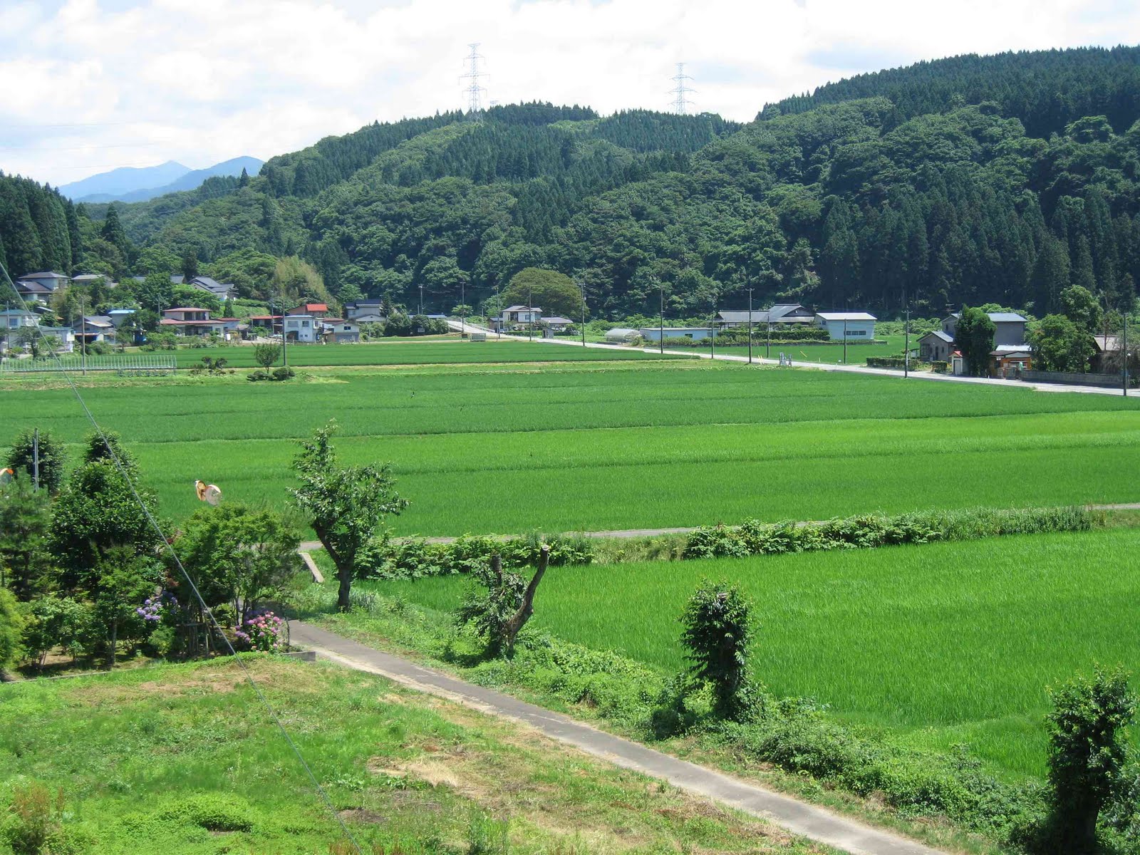 The World Tastes Good First post from Akita