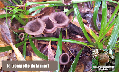 La trompette de la mort La trompette de la mort