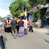 Seorang Buruh Tani Ditemukan Tergeletak Tak Bernyawa Di Jln Hos Cokroaminoto Pare