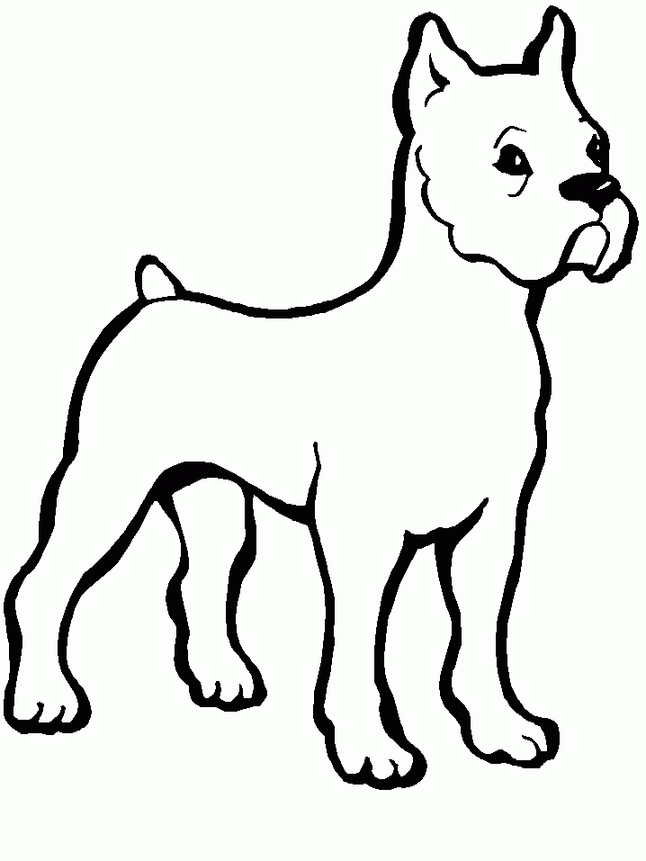a puppy in a box coloring pages - photo #49