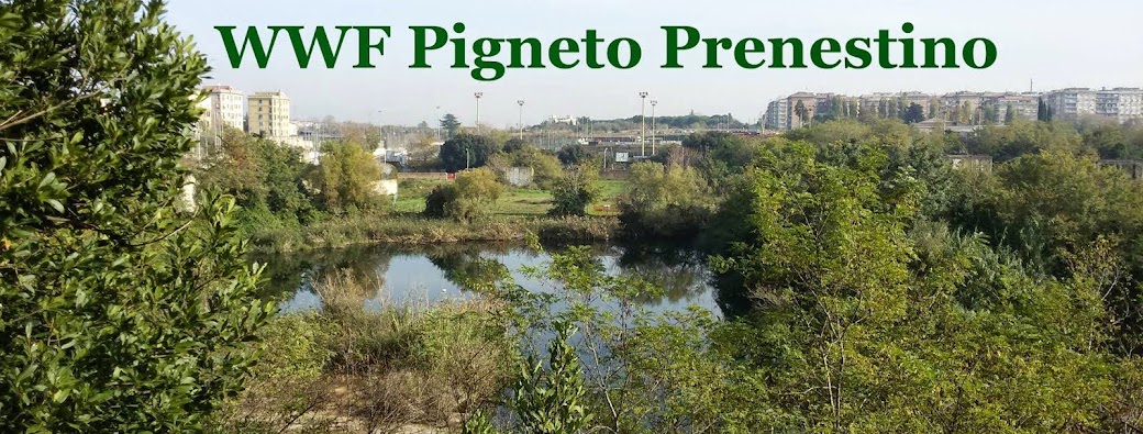 WWF Pigneto Prenestino