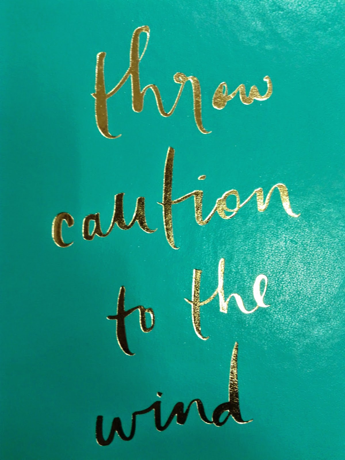 Motivational Quotes with Pictures (many MMA & UFC) Throw caution to