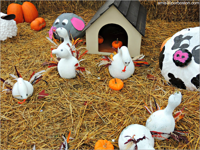 Calabazas Decoradas para Halloween: Animales de Granja