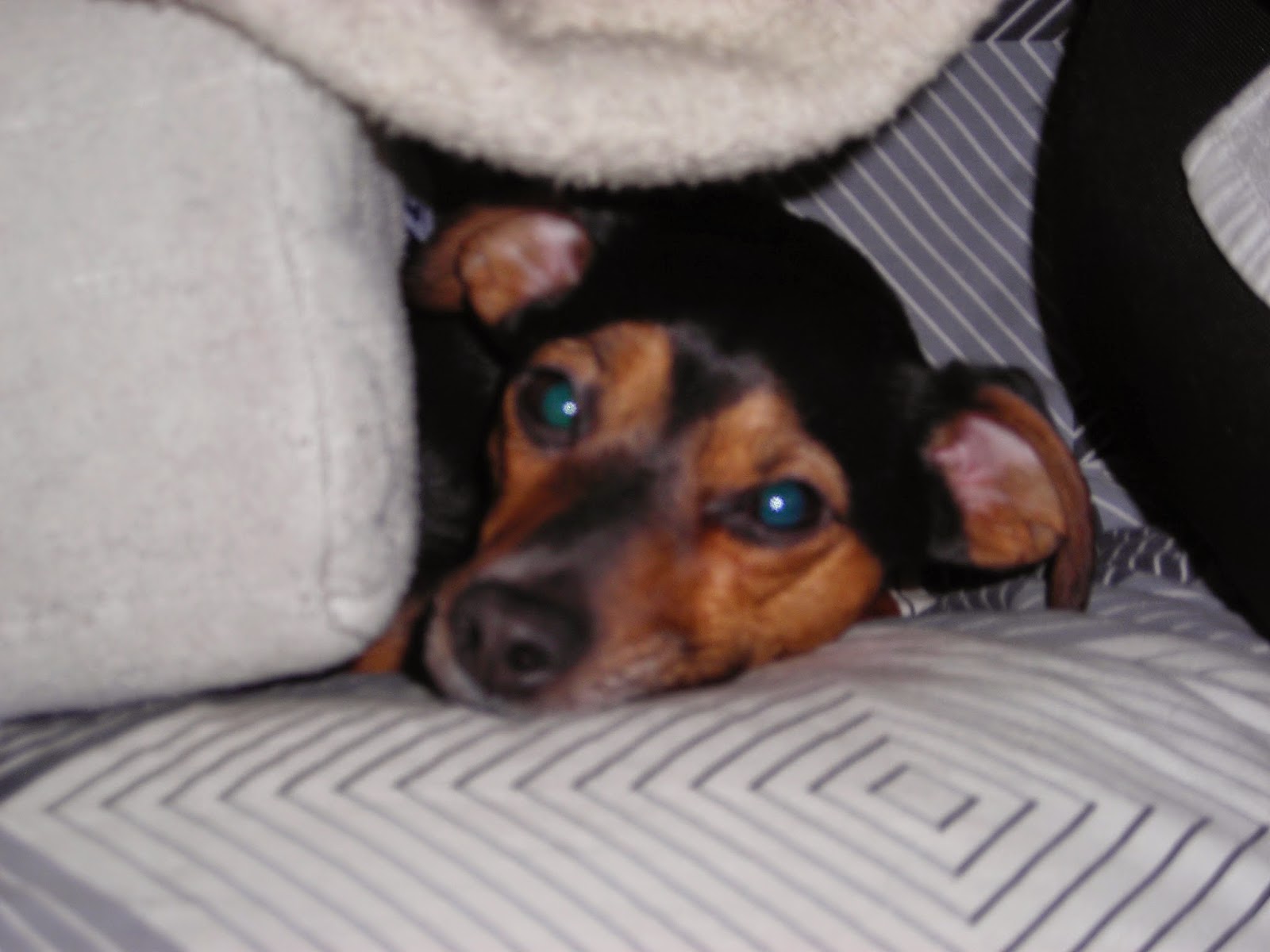 Alltagsheldennetz World Of Pd