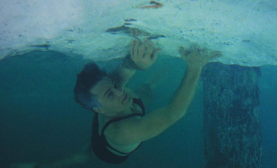 Frequently Asked Questions Wild About Harry