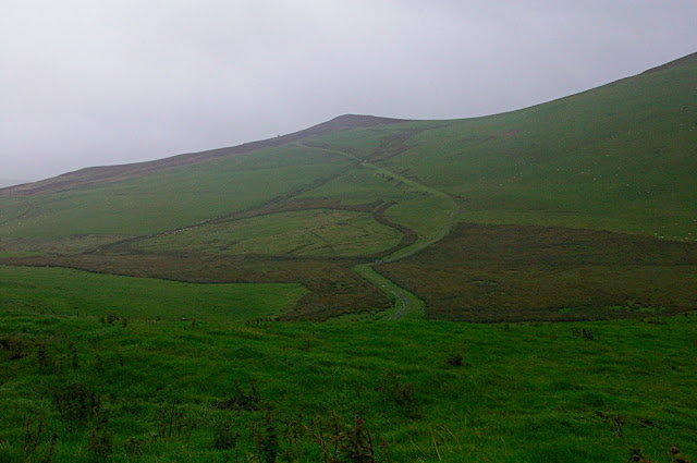 Walia - Snowdon 2006 Poszukujacraju