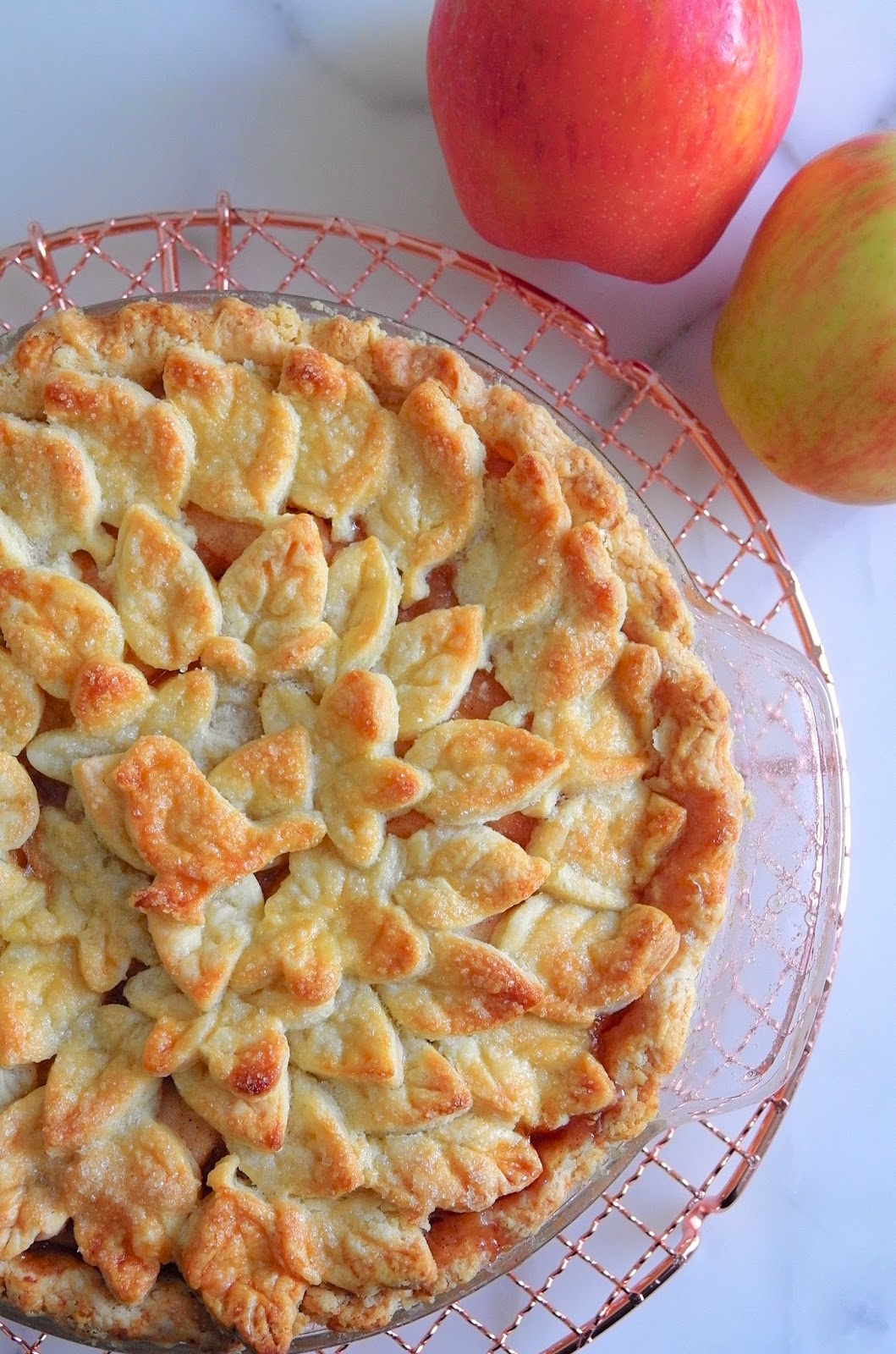 CAKE ON THE BRAIN LEAFY ELSTAR APPLE PIE WITH ALLBUTTER CRUST
