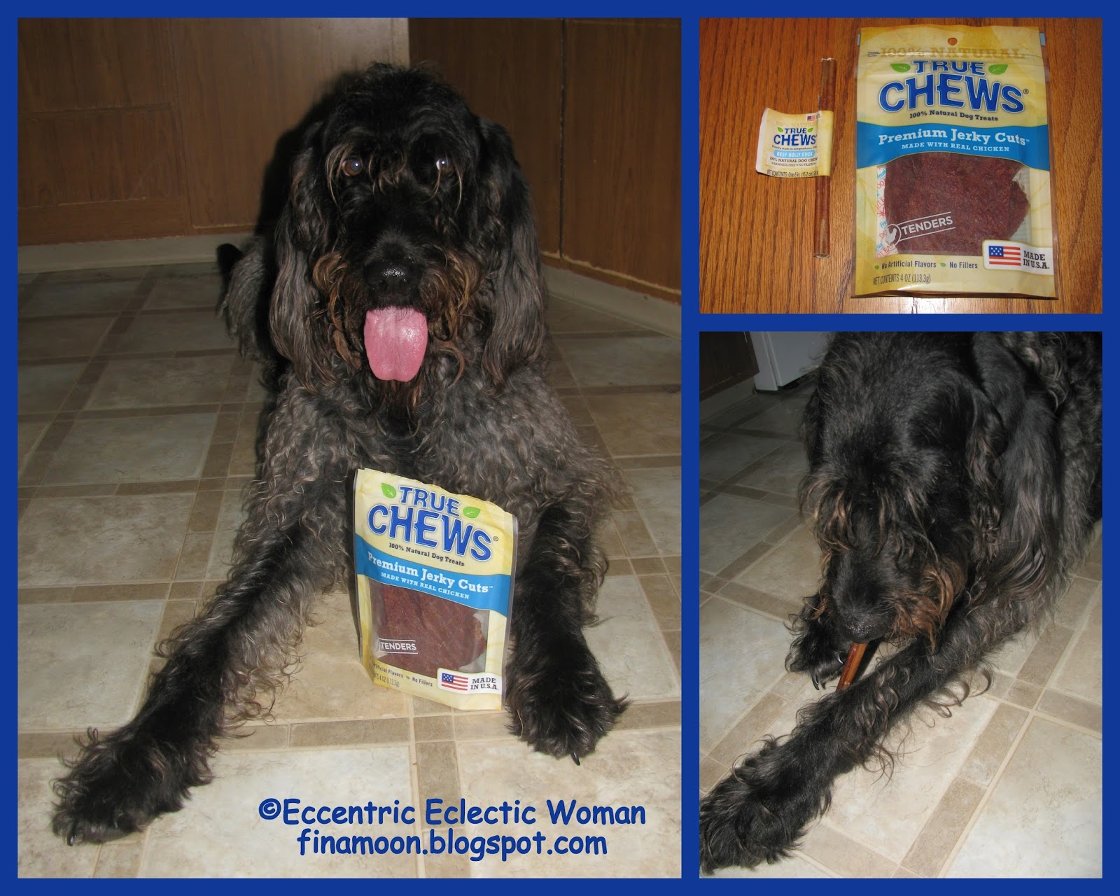 Eccentric Eclectic Woman True Chews Premium Jerky Cuts
