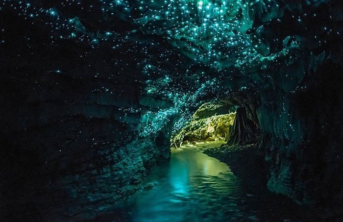 Waitomo Glowworm Caves of New Zealand - The Most Beautiful Caves
