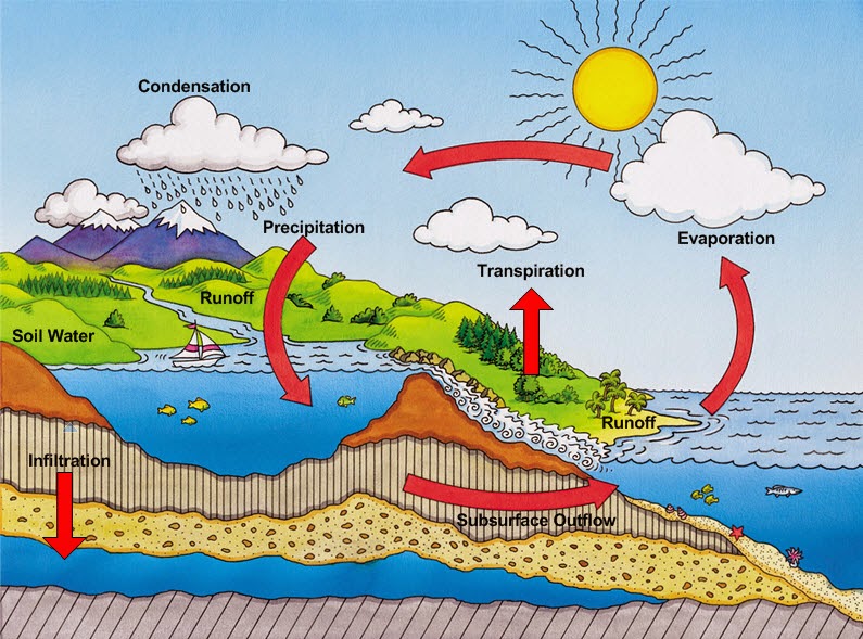 Water Cycle In A Statement 65
