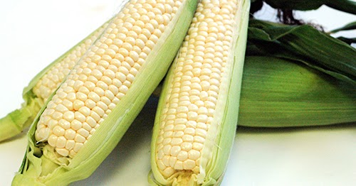 とうもろこしの品種事情2