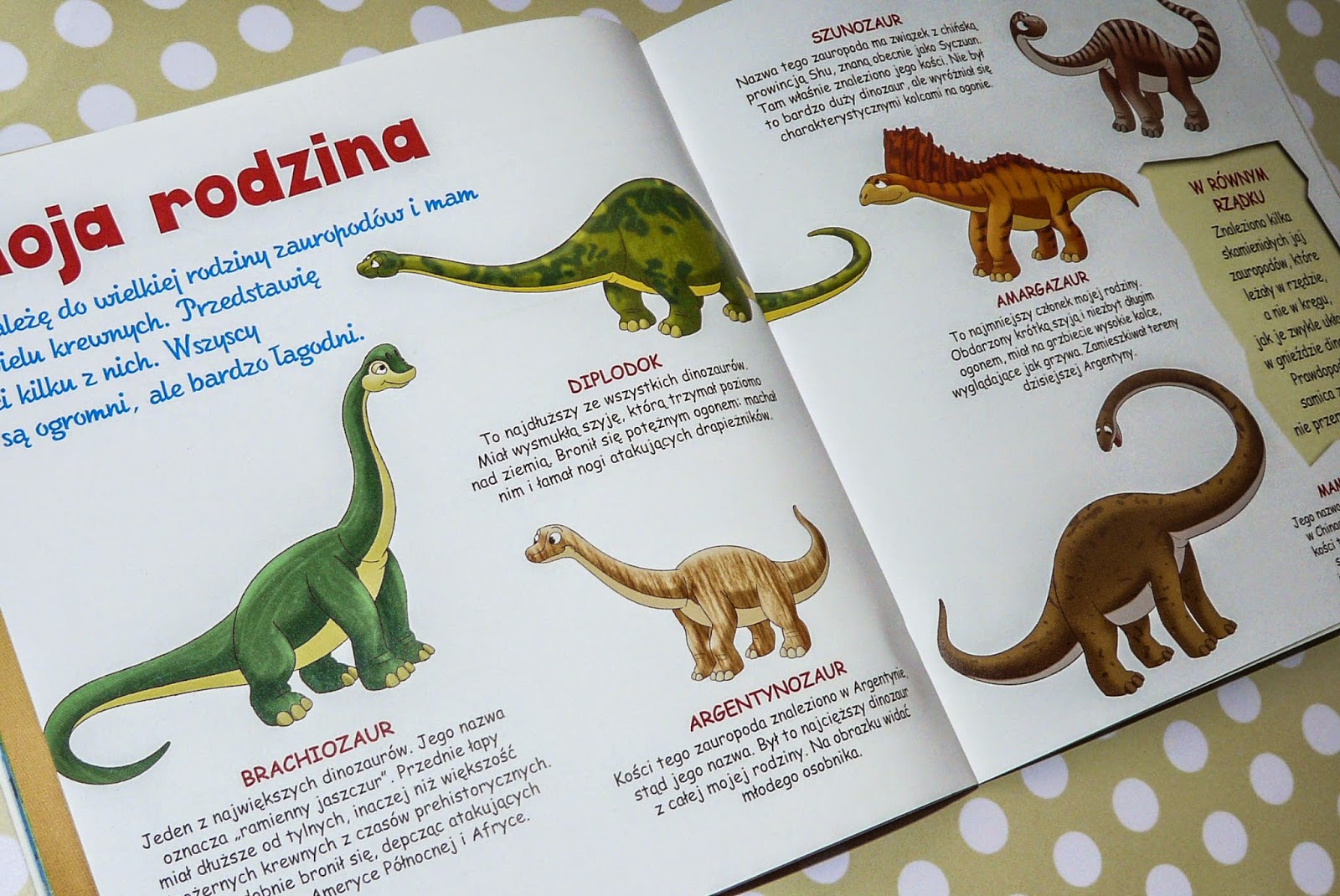 Dinozaury I Przyjaciele Nr 9 Kolekcja: Dinozaury i Przyjaciele | Maluszkowe inspiracje