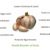 Garlic facts on Body - Real Benefits of Garlic on Human