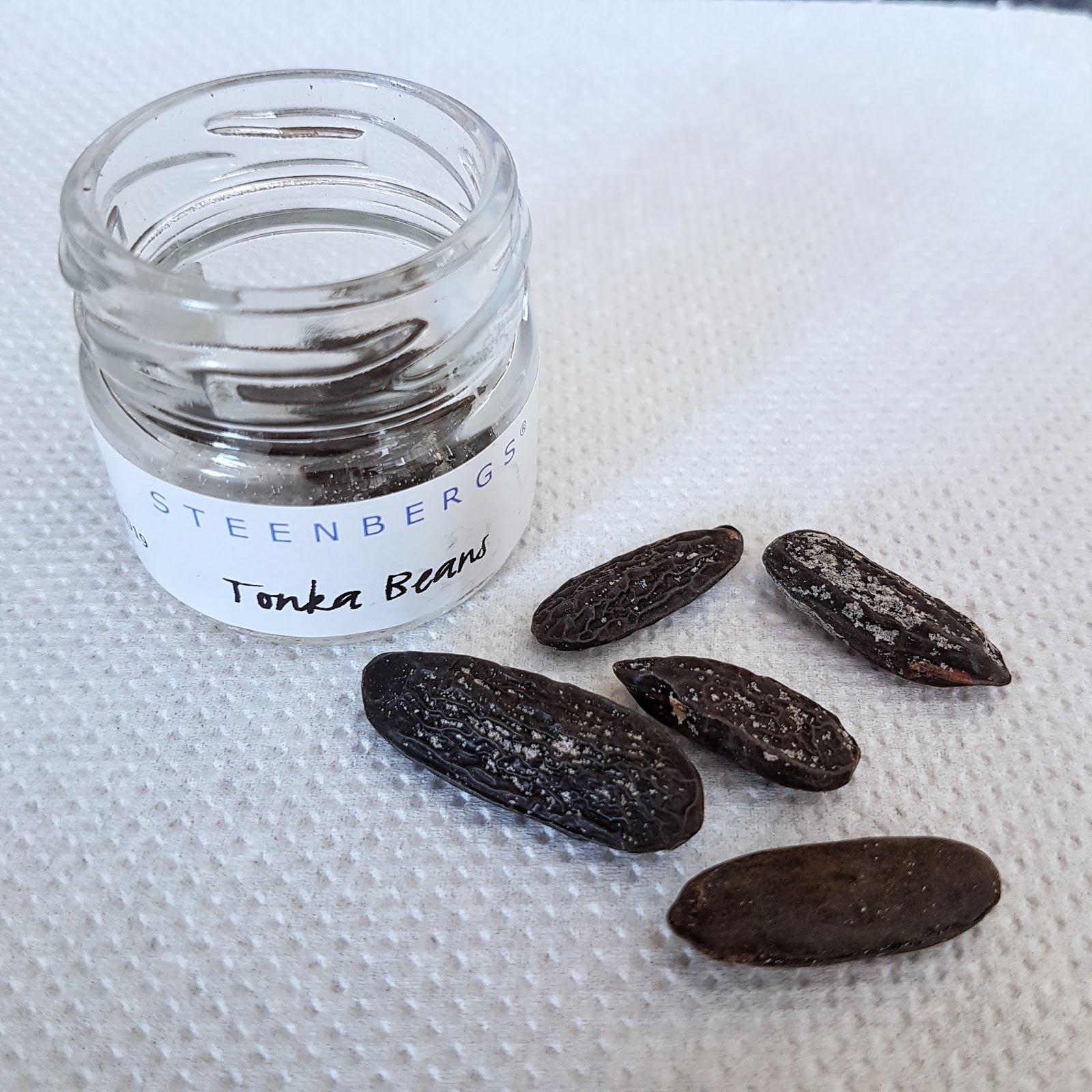 Tonka Bean Panna Cotta Recipe