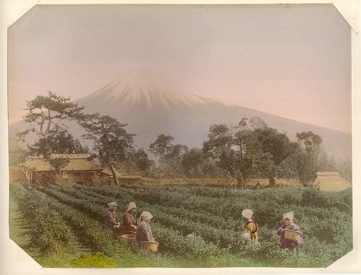 Япония развитие хозяйства