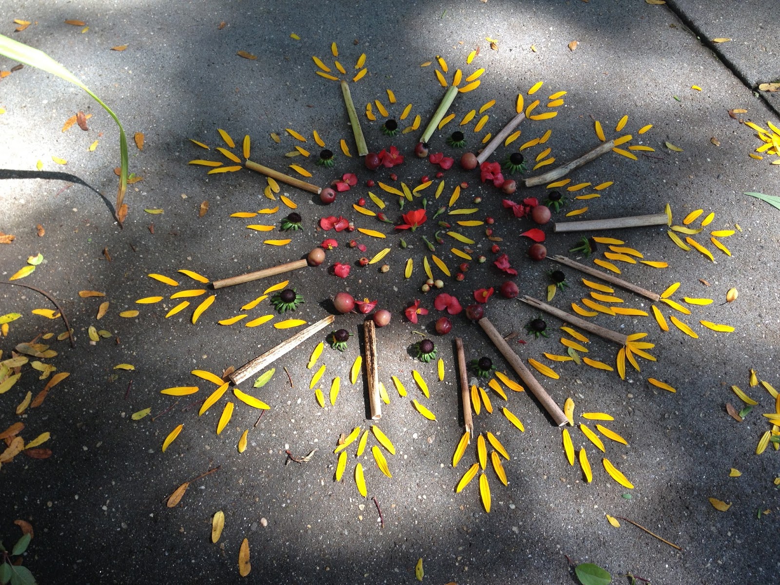 River City Art * Collinsville: Kids Nature Mandalas
