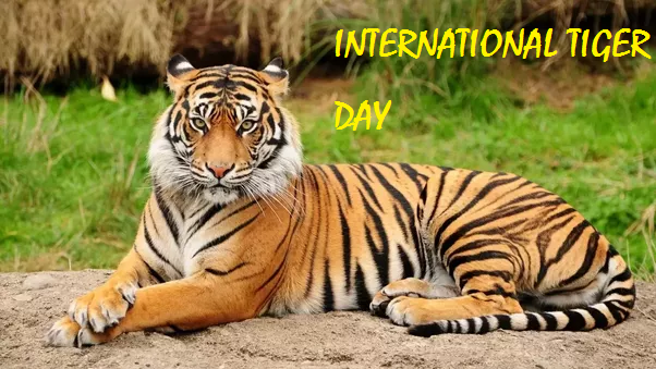 INTERNATIONAL TIGER DAY